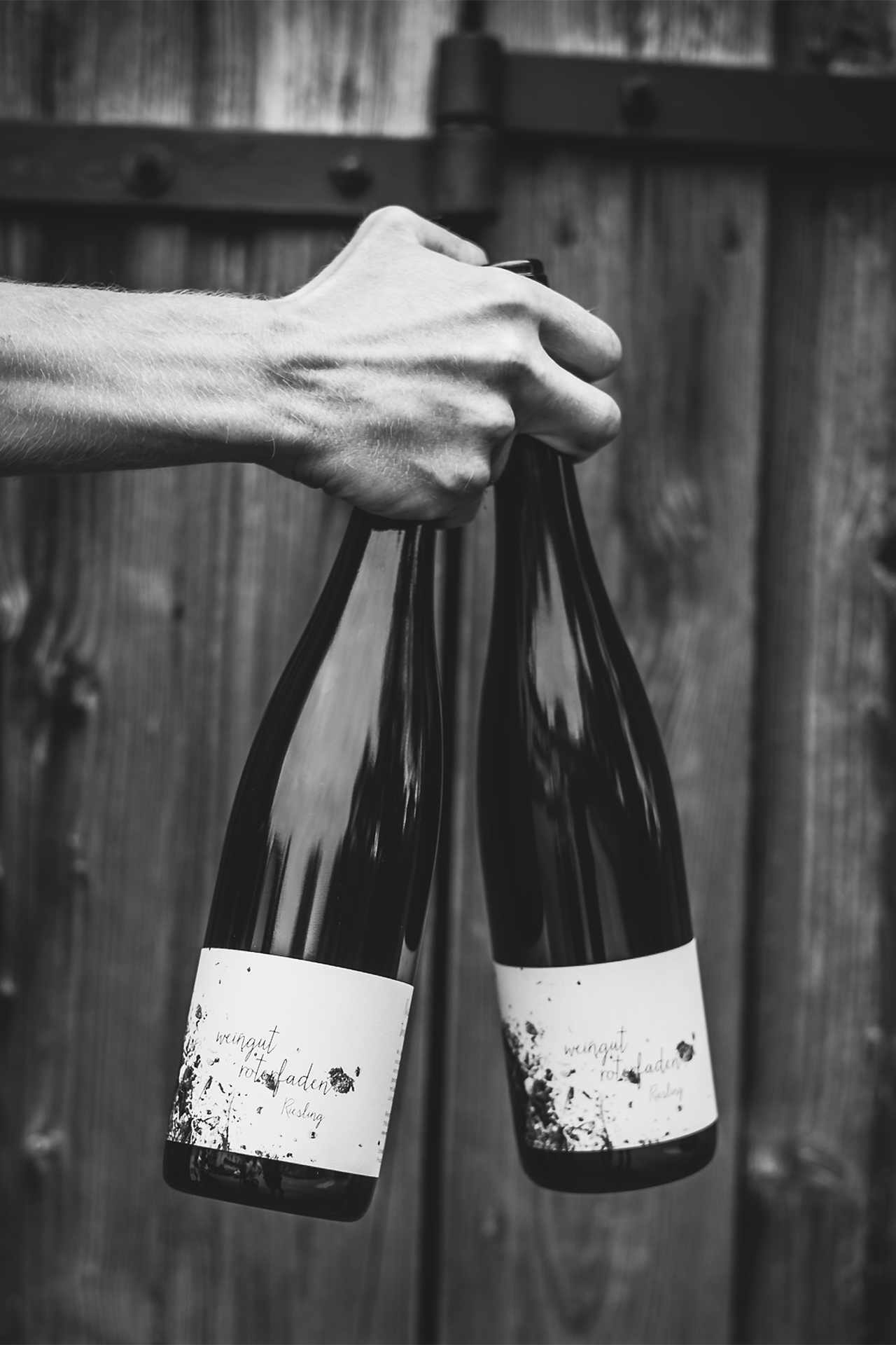 Bild Riesling Endschleife