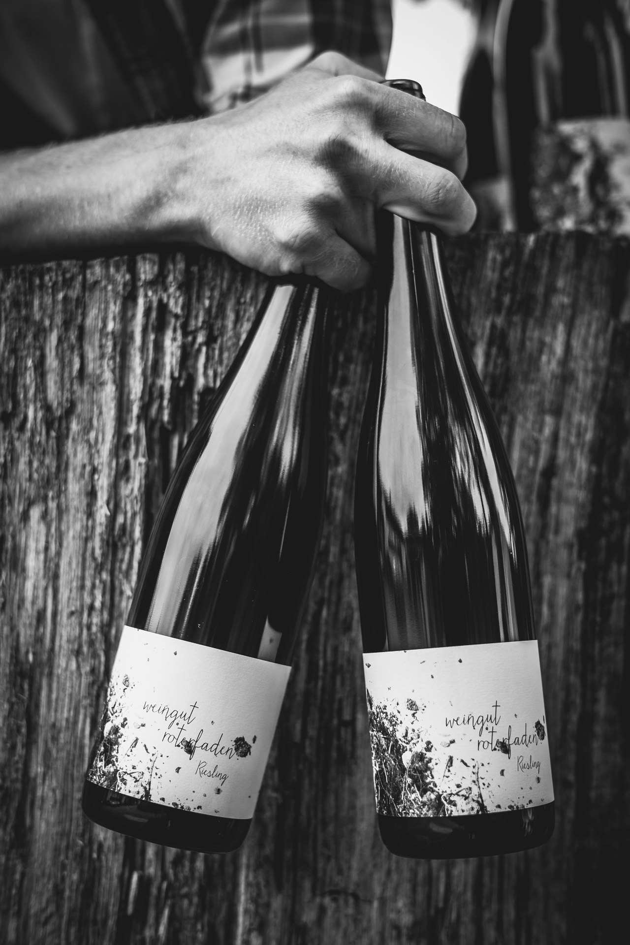 Bild Riesling